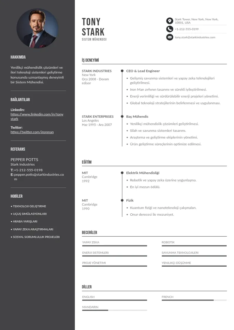 Divu kolonnu Sistem Mühendisi  CV piemērs