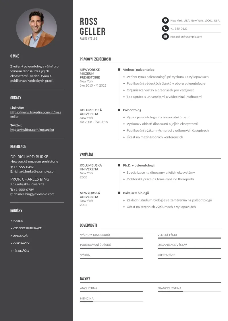 Divu kolonnu Cv ve francouzstine vzor CV piemērs