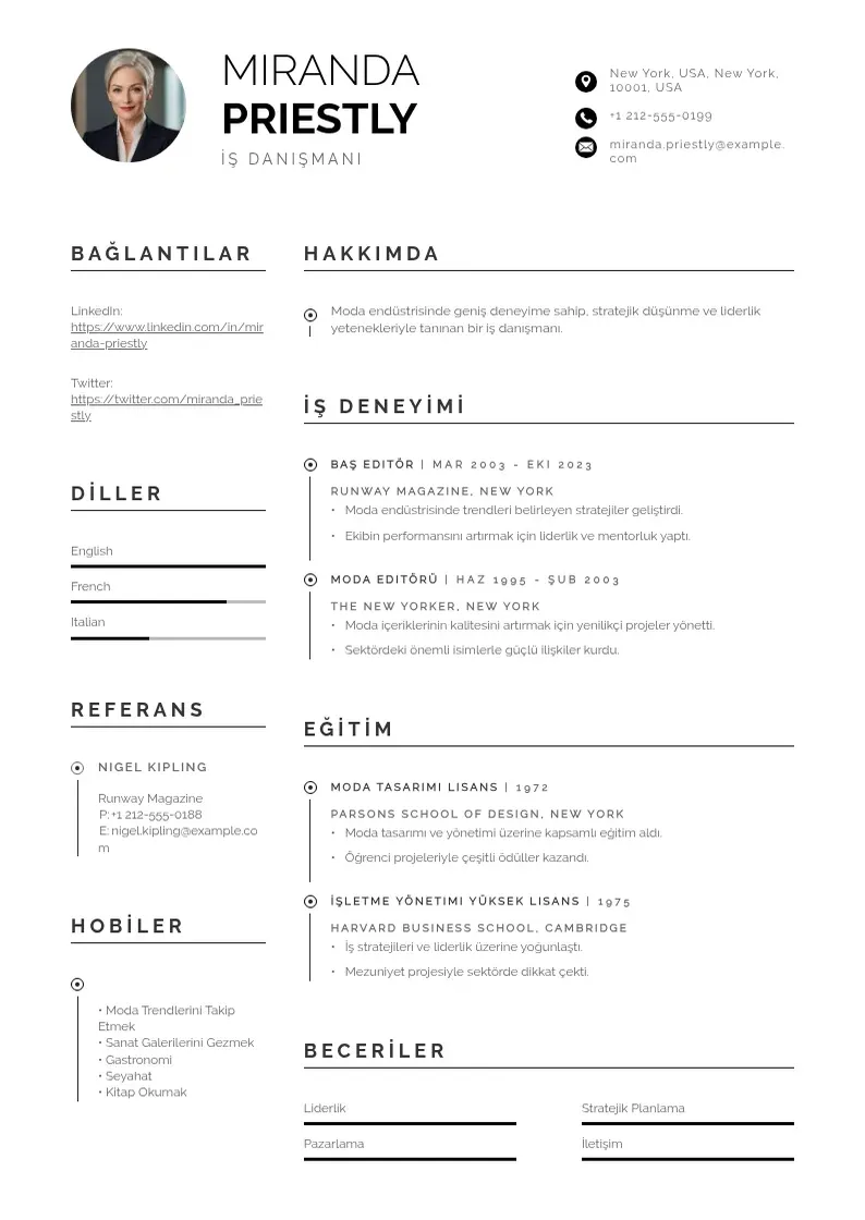 Profesionāla İş danışmanı  CV veidne