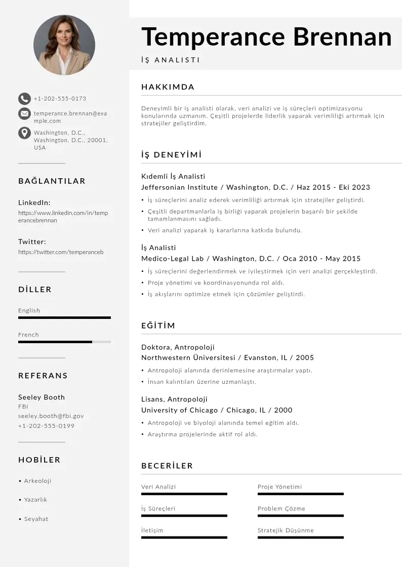 Mūsdienīga Is analistleri icin ozgecmis ornekleri CV veidne