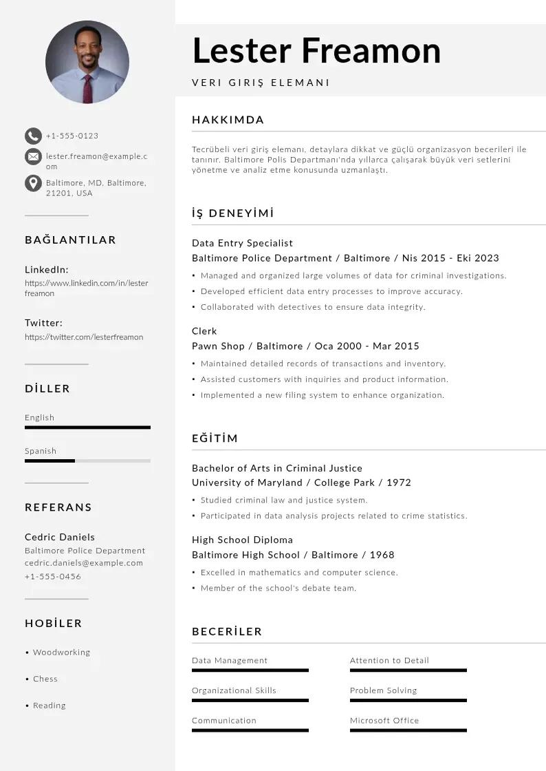 Mūsdienīga Veri giriş elemanı  CV veidne