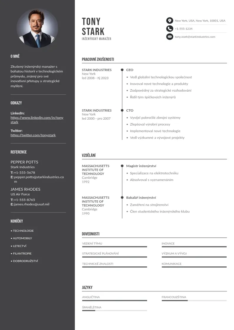 Divu kolonnu Inzenyrskeho manazera zivotopis CV piemērs