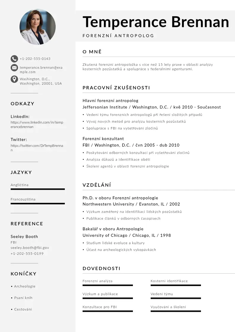 Mūsdienīga Vyzkumnik zivotopis CV veidne