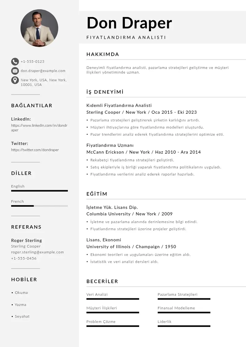 Mūsdienīga Fiyatlandırma Analisti  CV veidne
