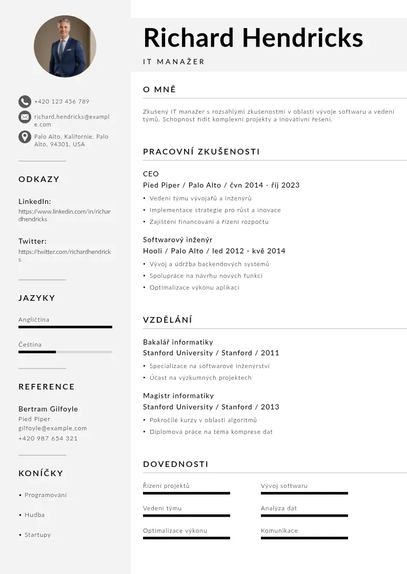 Mūsdienīga It manazer zivotopis CV veidne
