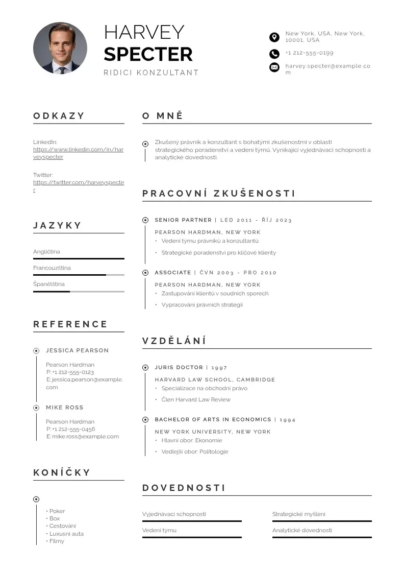 Profesionāla Ridici konzultant zivotopis CV veidne