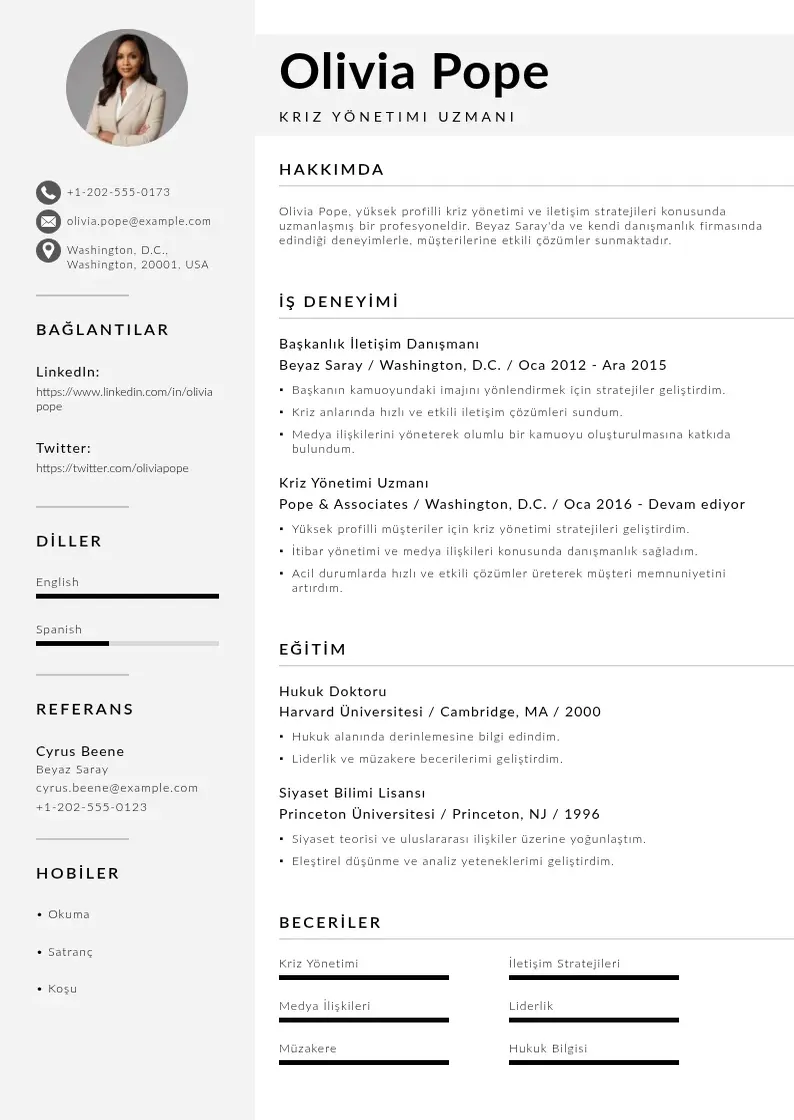 Mūsdienīga  de devam eden iş nasıl yazılır /  iş deneyimi örnekleri CV veidne