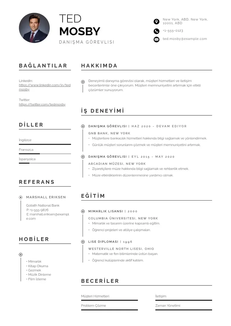 Profesionāla Danışma  CV veidne