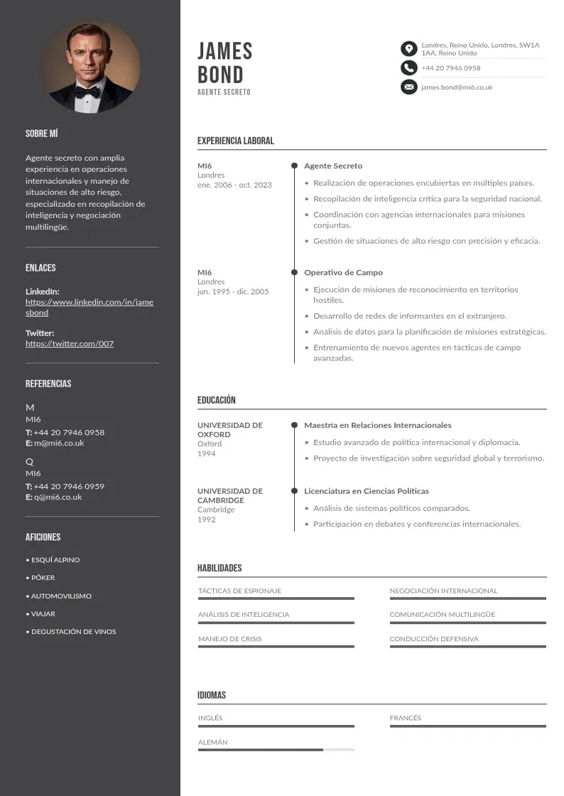 two column internacional resume example