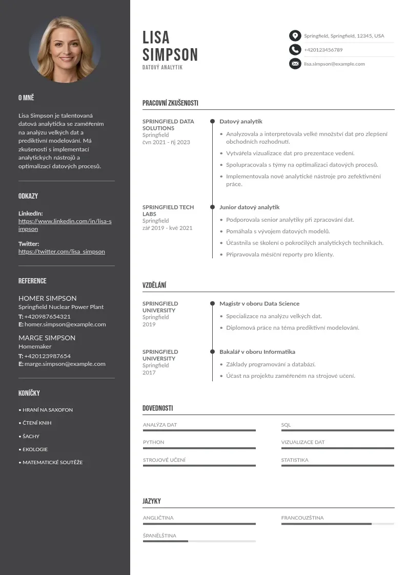 Divu kolonnu Zivotopis datoveho analytika CV piemērs