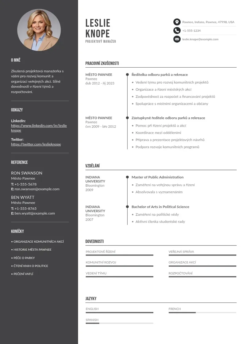 Divu kolonnu Zivotopis projektovy manazer CV piemērs