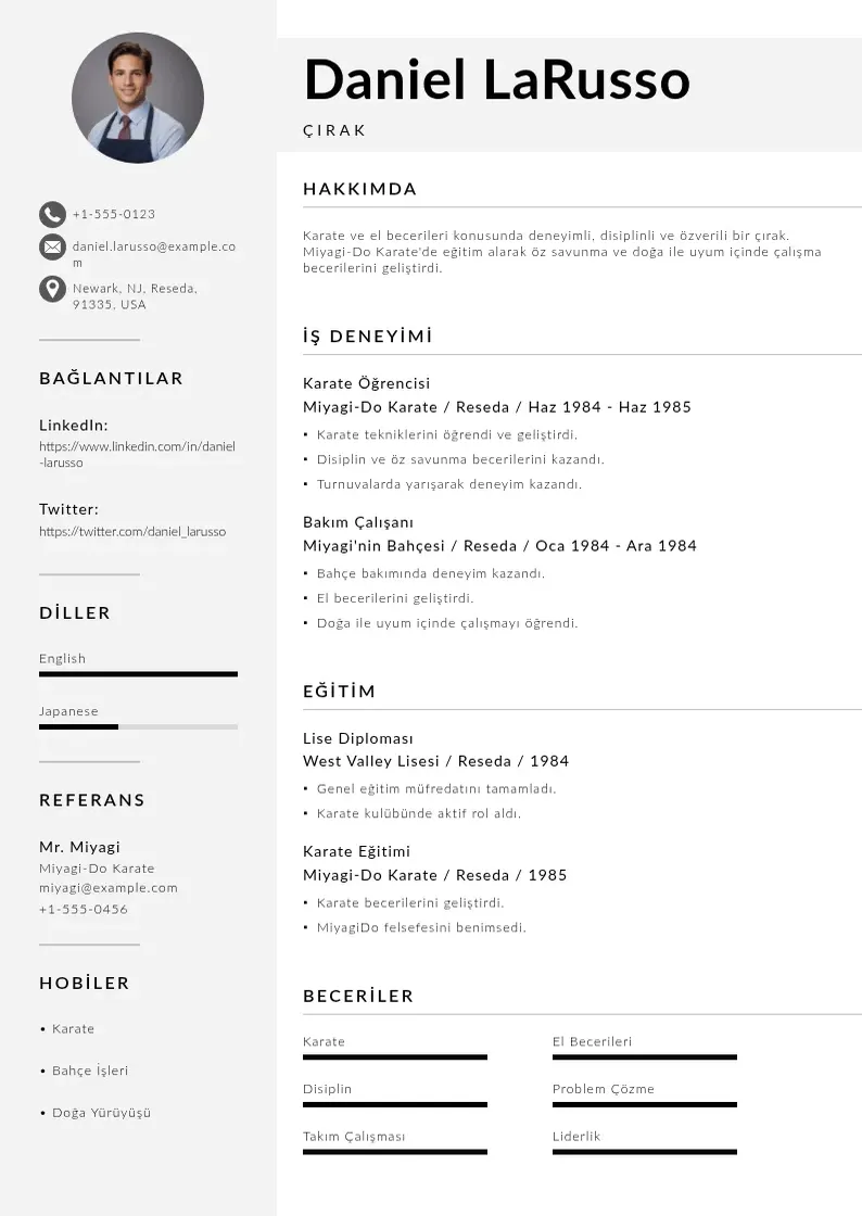 Mūsdienīga Çırak  CV veidne