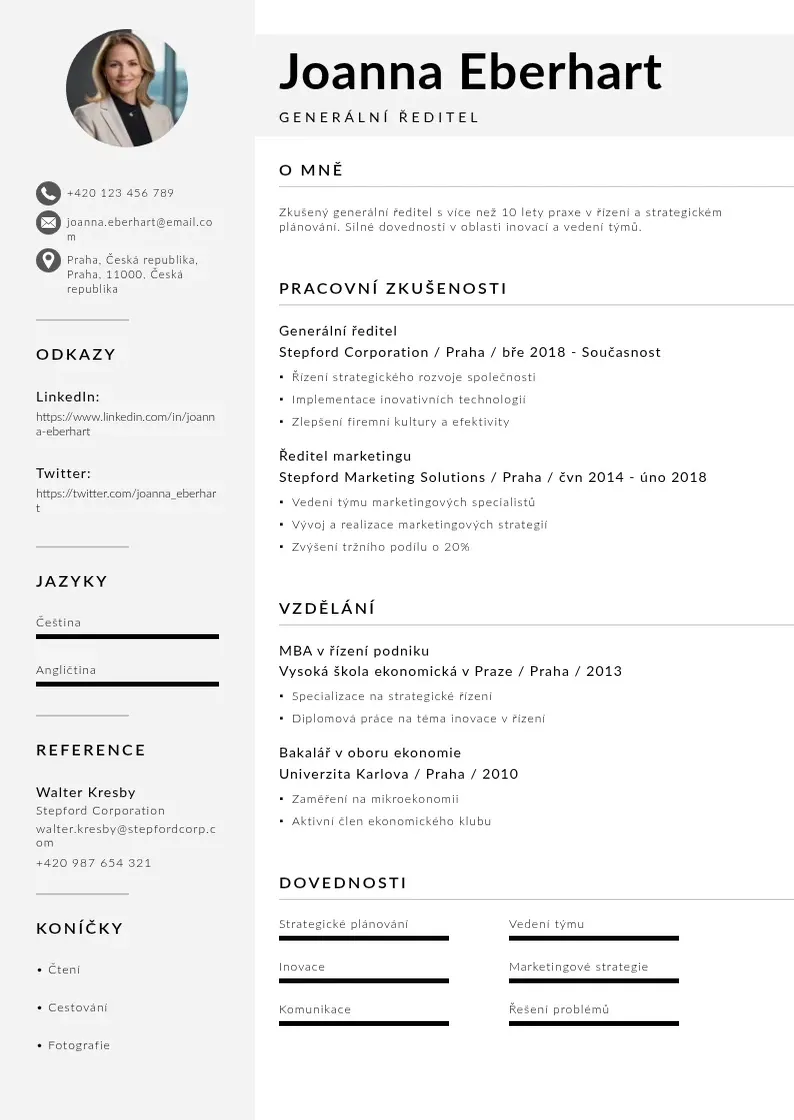 Mūsdienīga Generalni reditel zivotopis CV veidne