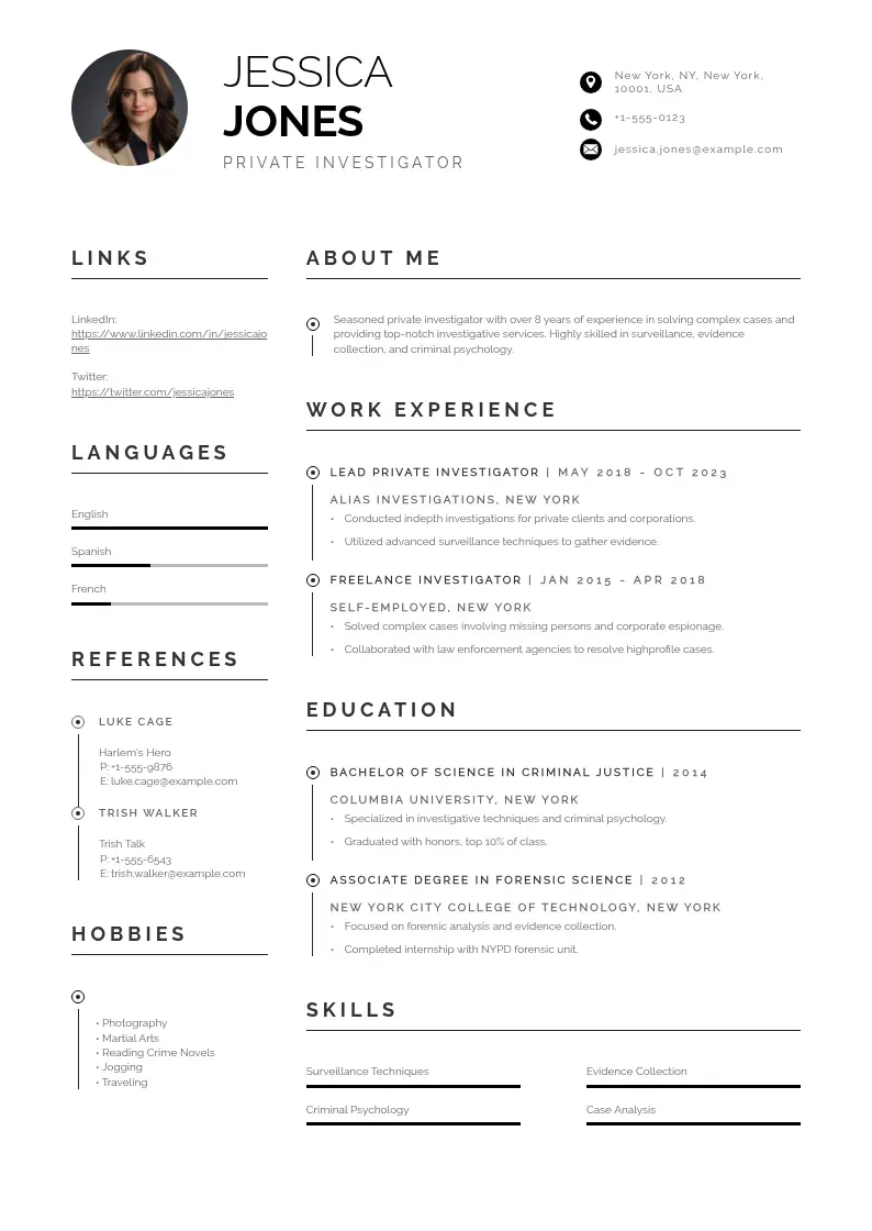 professional Private investigator resume resume template