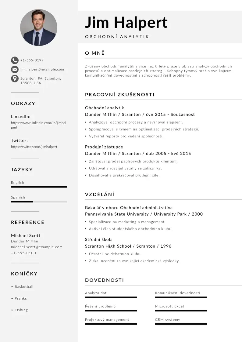 Mūsdienīga Obchodni analytik zivotopis CV veidne