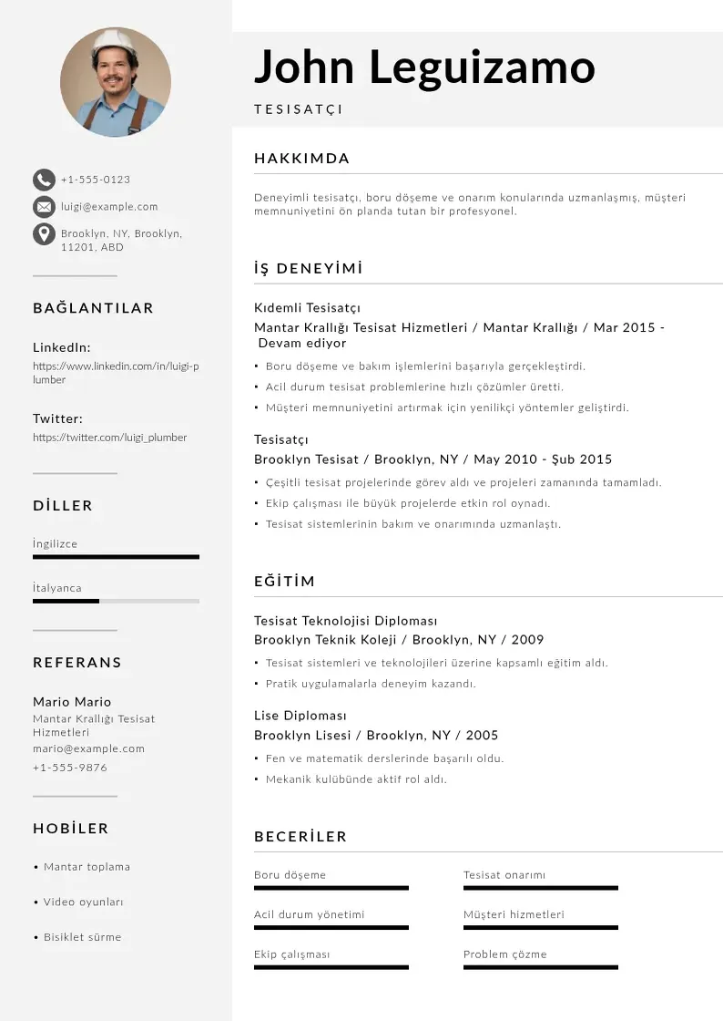Mūsdienīga Tesisatçı  CV veidne