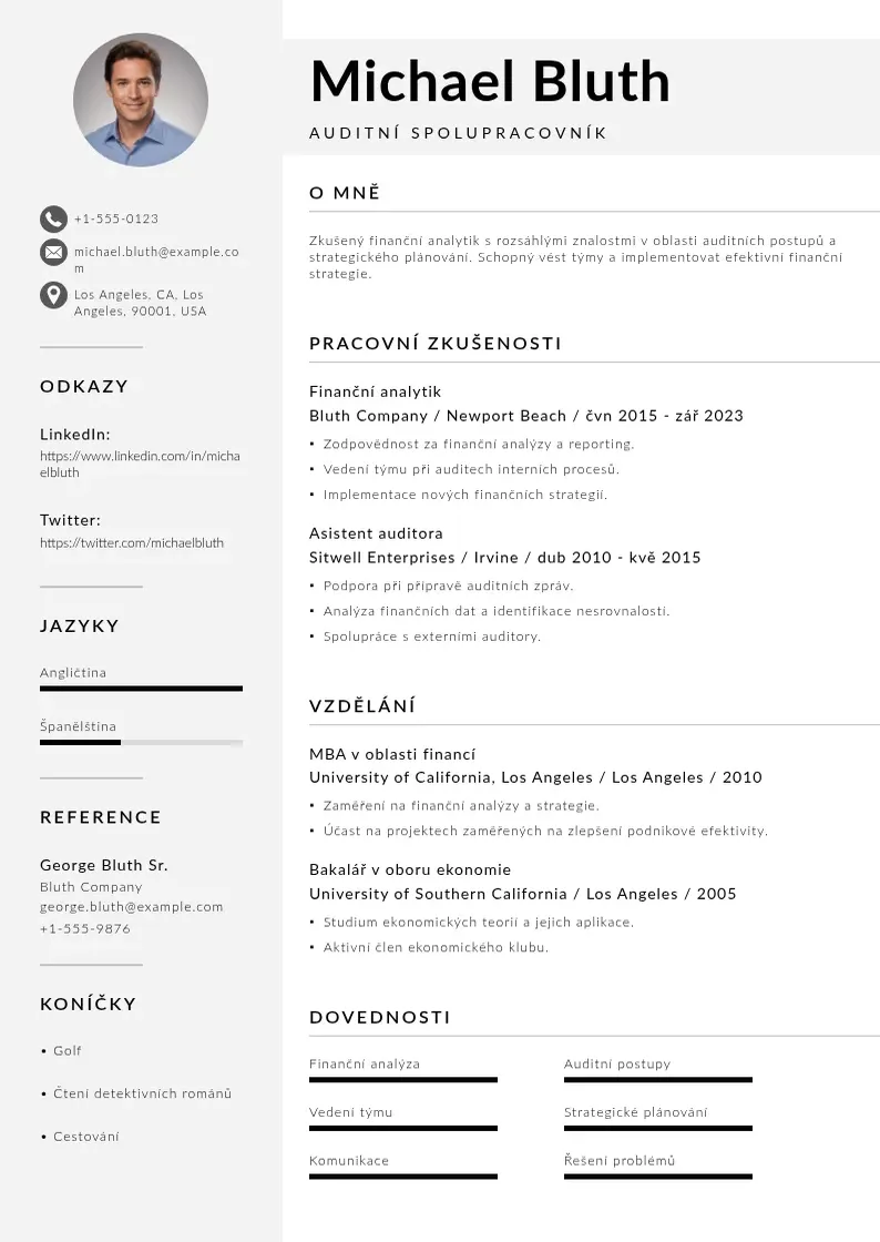 Mūsdienīga Auditní spolupracovník  CV veidne
