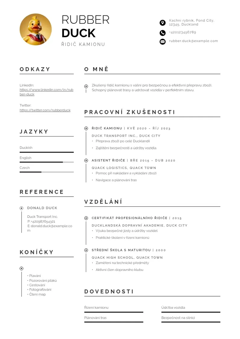 Profesionāla Ridic kamionu zivotopis CV veidne