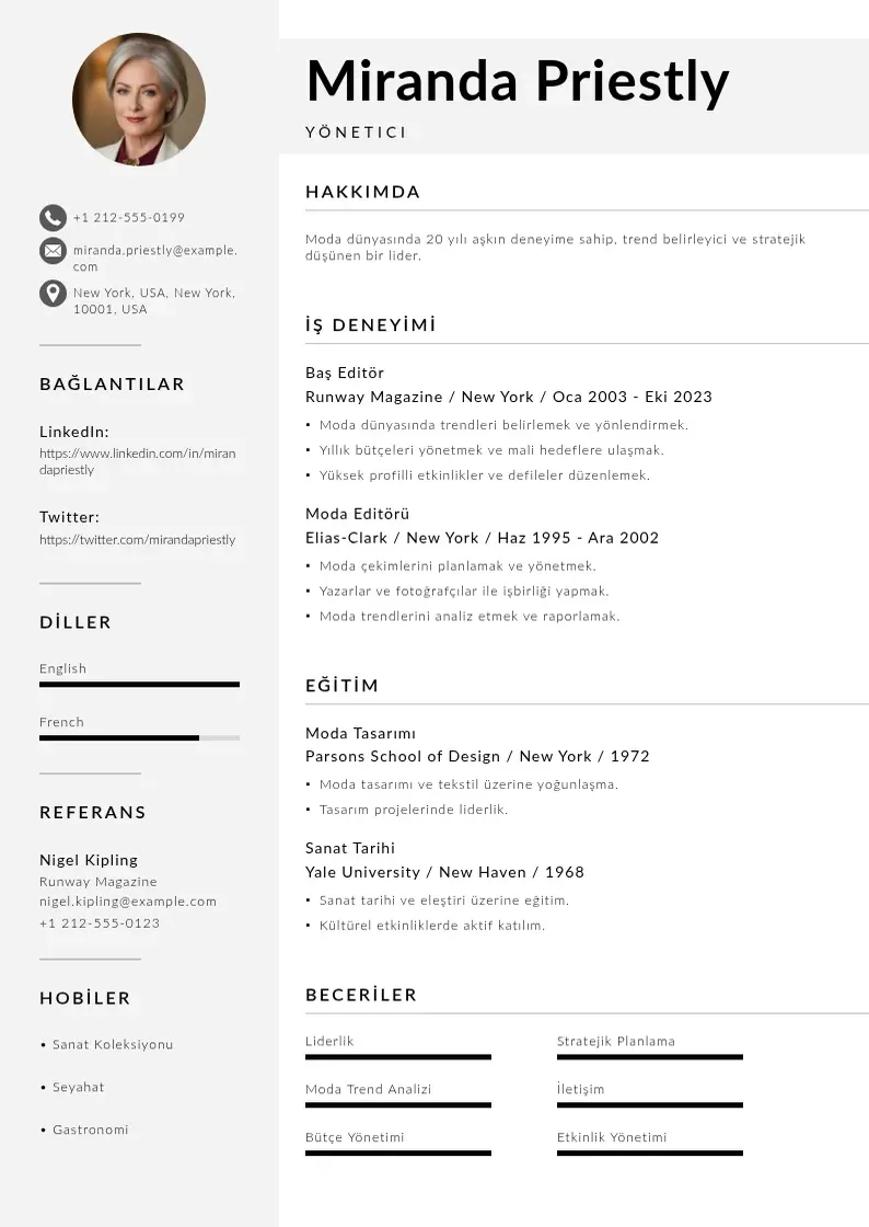 Mūsdienīga Yonetici CV veidne