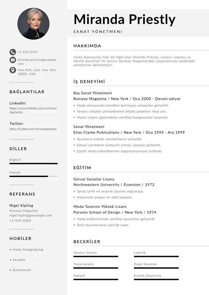 Mūsdienīga Sanat Yönetmeni  CV veidne