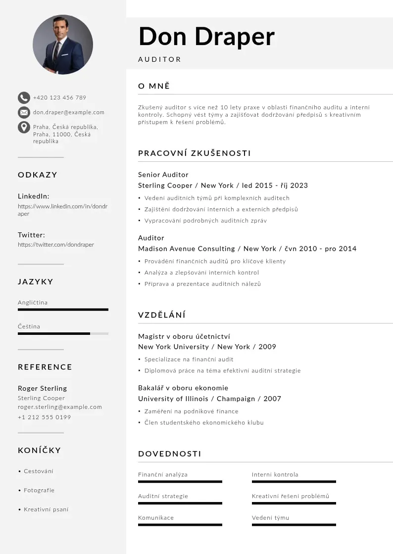 Mūsdienīga Zivotopis auditora CV veidne