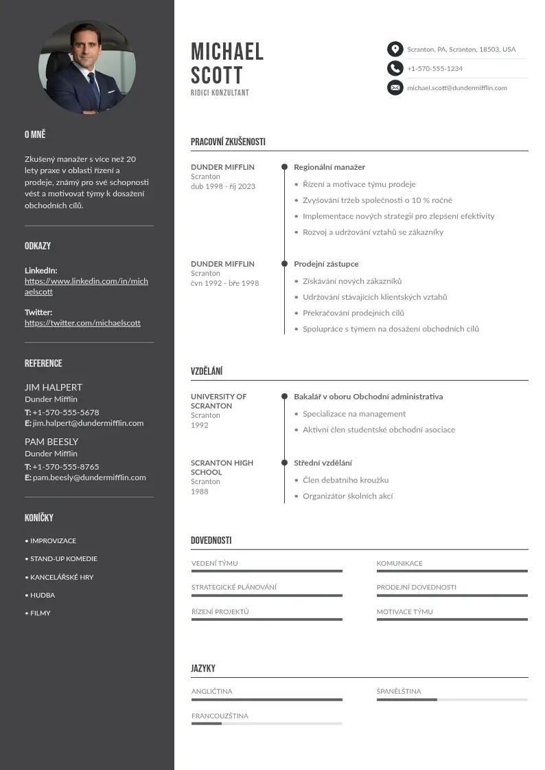 Divu kolonnu Ridici konzultant zivotopis CV piemērs