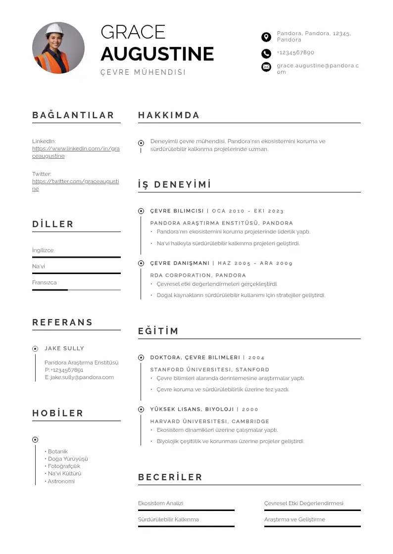 Profesionāla Cevre muhendisi si CV veidne