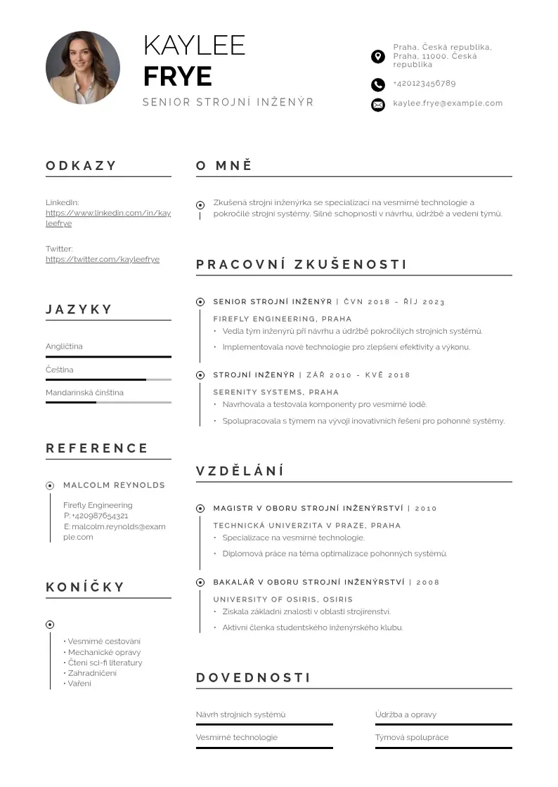 Profesionāla Senior strojni inzenyr zivotopis CV veidne