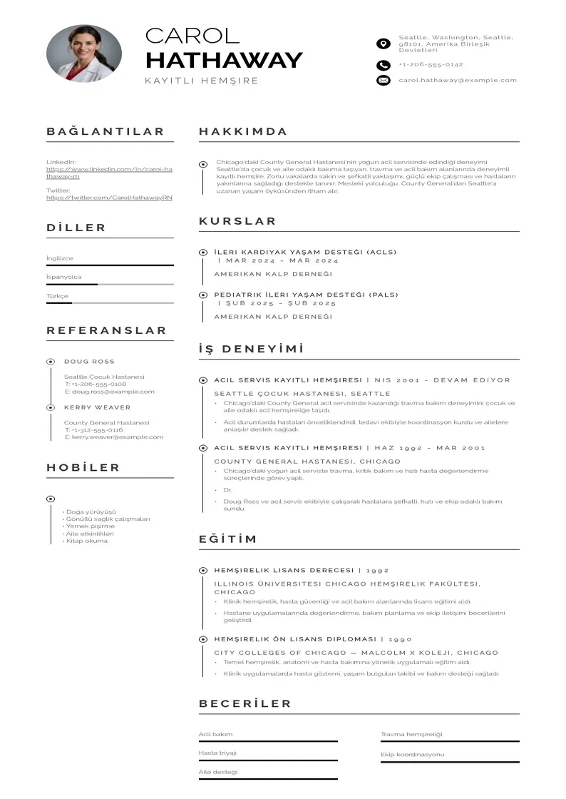 Profesionāla  CV veidne