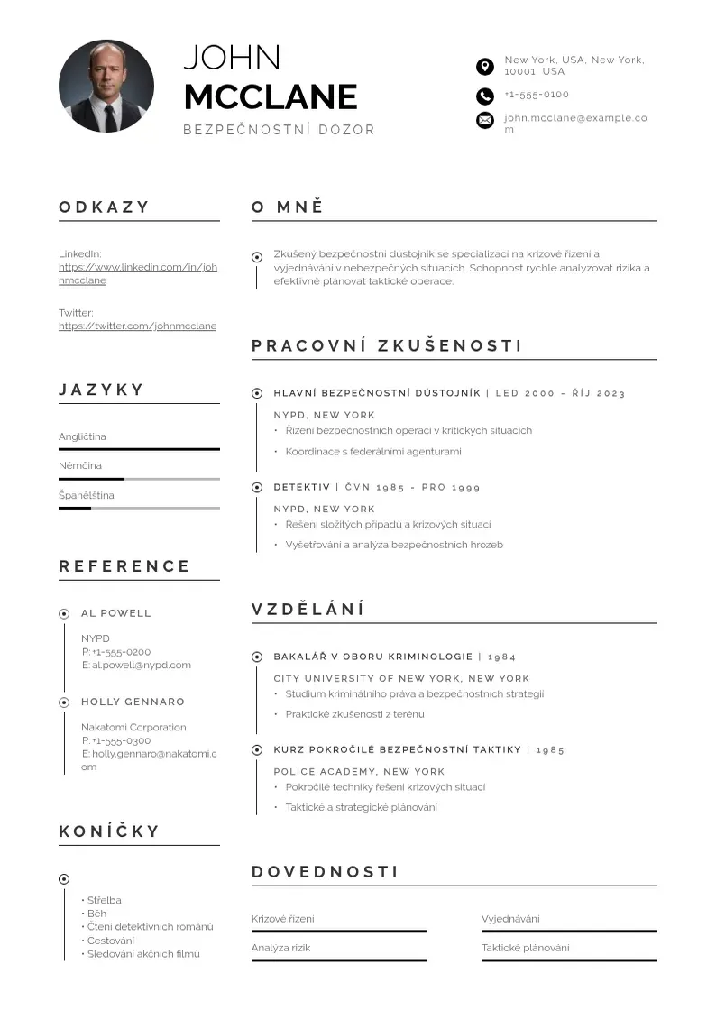 Profesionāla Bezpečnostní dozor CV veidne