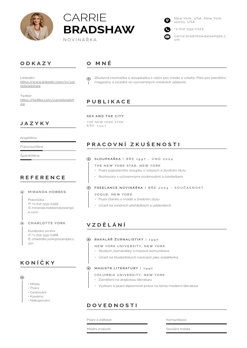 Profesionāla Zivotopis novinare CV veidne