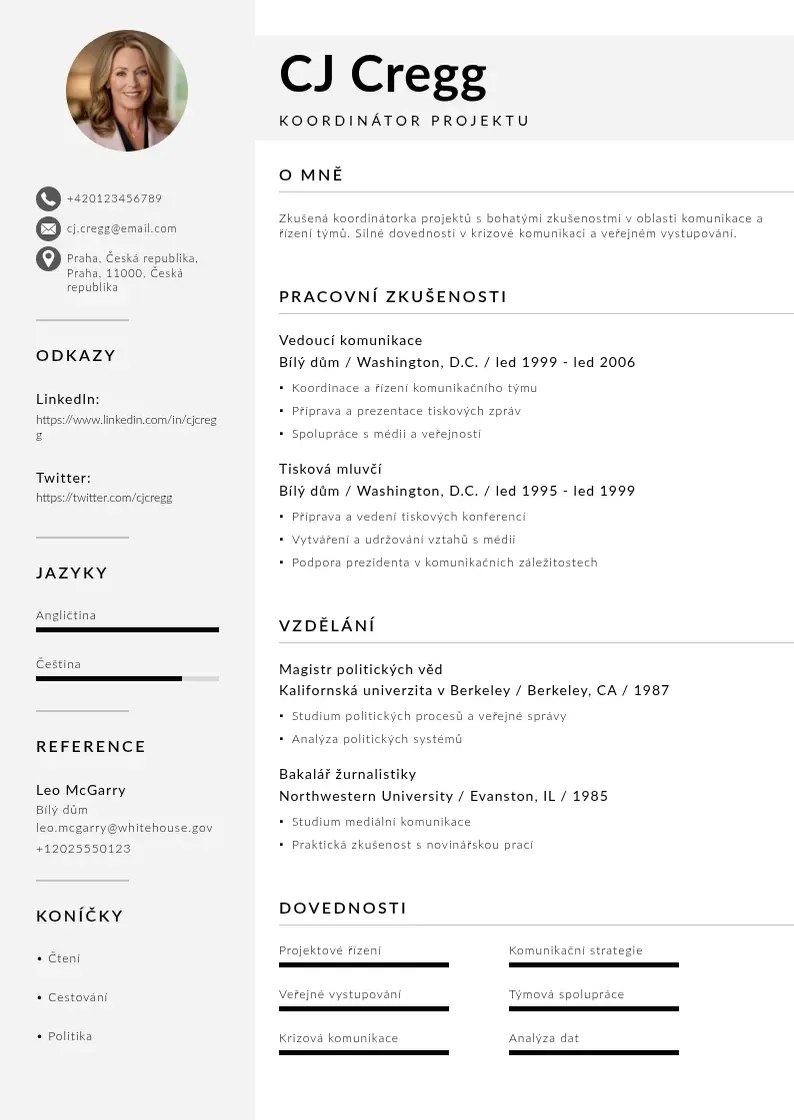Mūsdienīga Zivotopis koordinatora projektu CV veidne