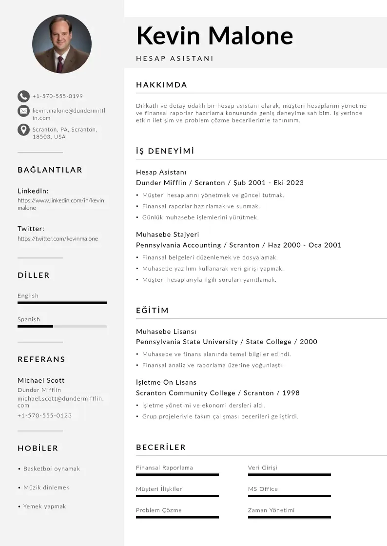 Mūsdienīga Hesap Asistanı  CV veidne