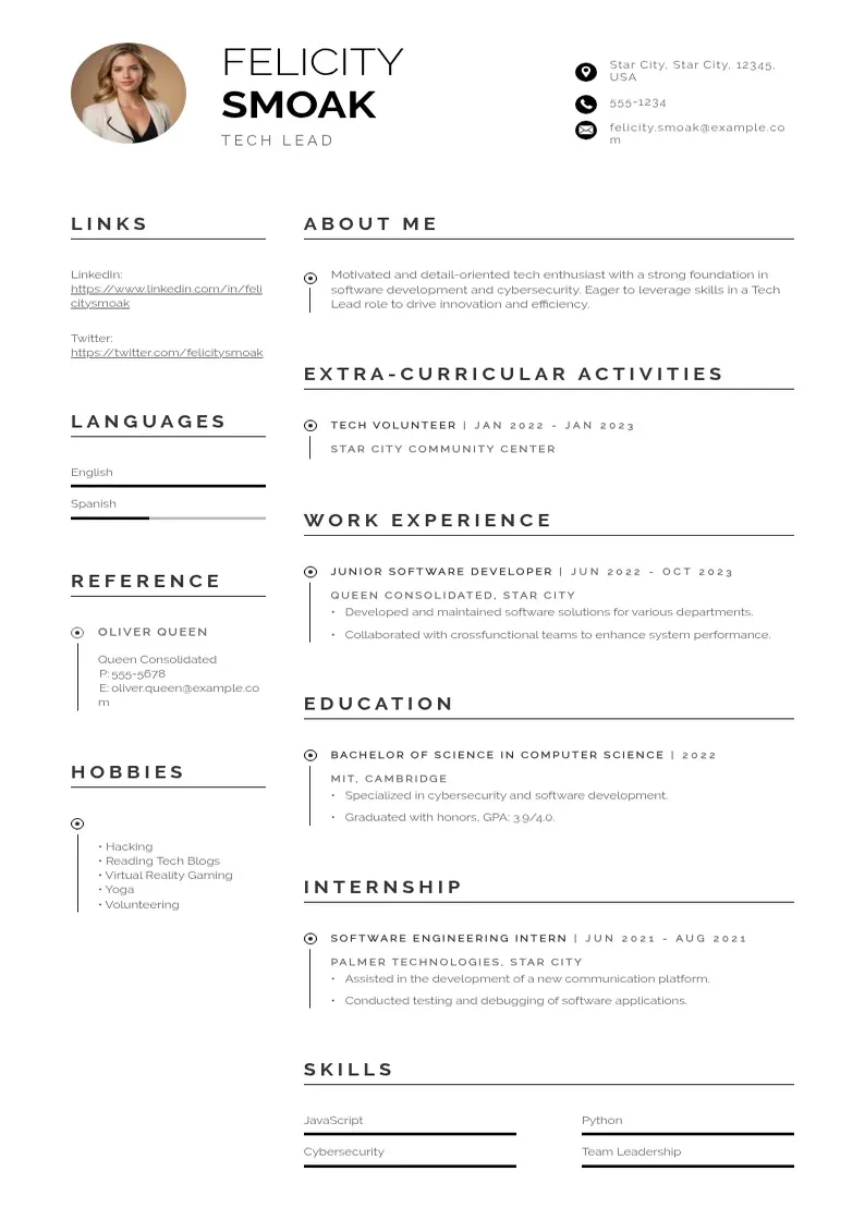 professional Tech Lead resume template