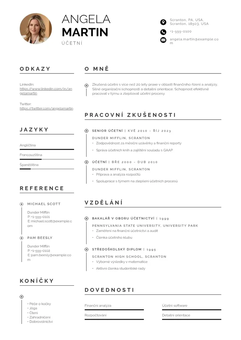 Profesionāla Zivotopis ucetni CV veidne