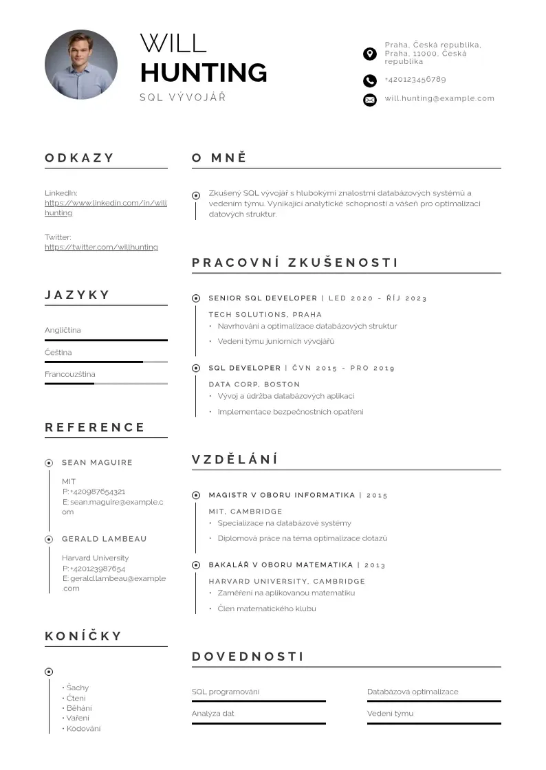 Profesionāla Vyvojar sql zivotopis CV veidne