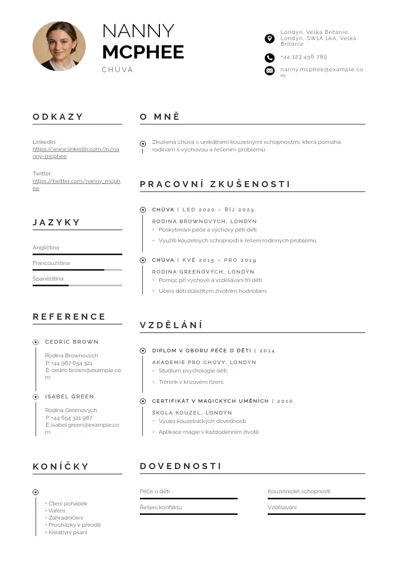Profesionāla Hlidani deti CV veidne