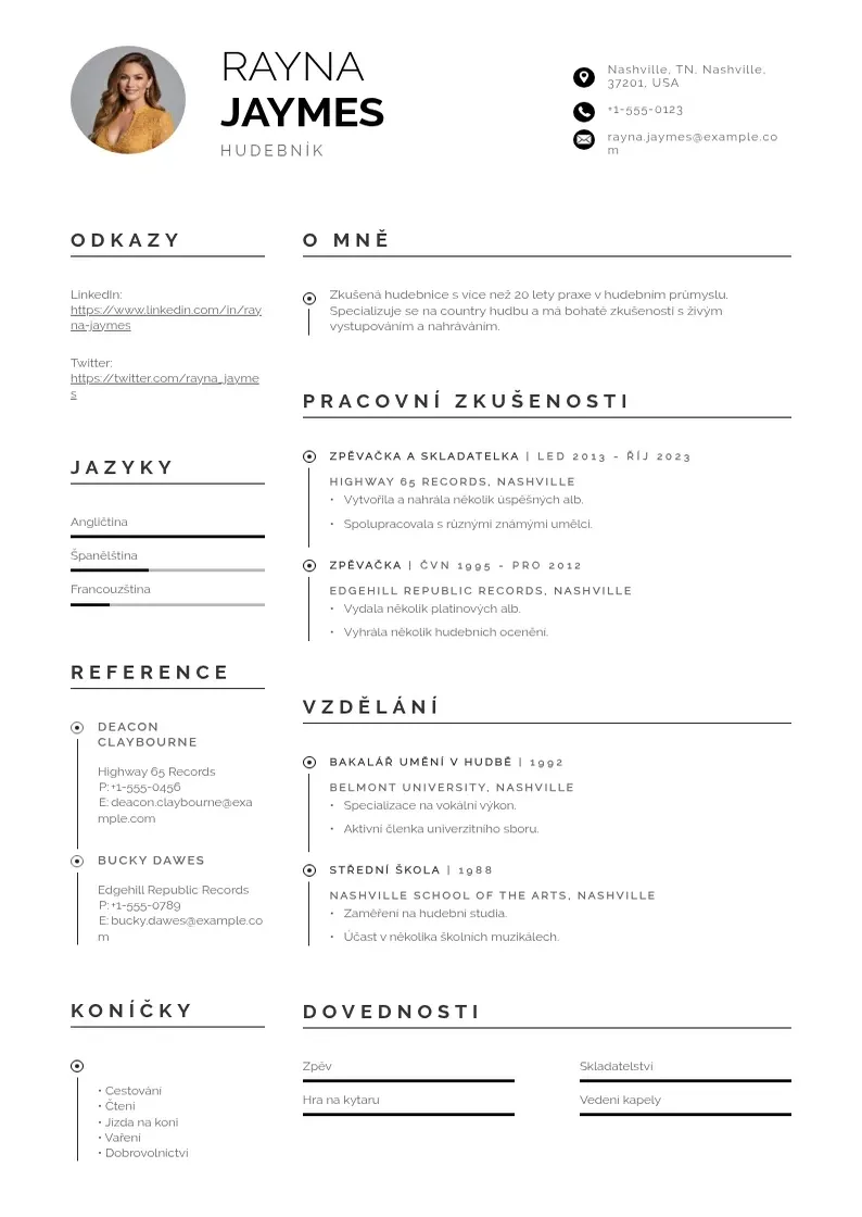 Profesionāla Hudebnik zivotopis CV veidne