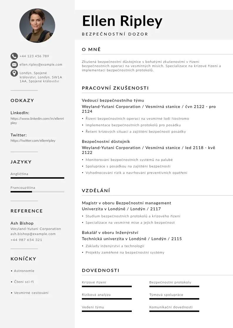 Mūsdienīga Bezpečnostní dozor CV veidne