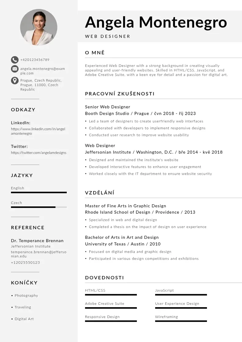 Mūsdienīga Web designer zivotopis CV veidne