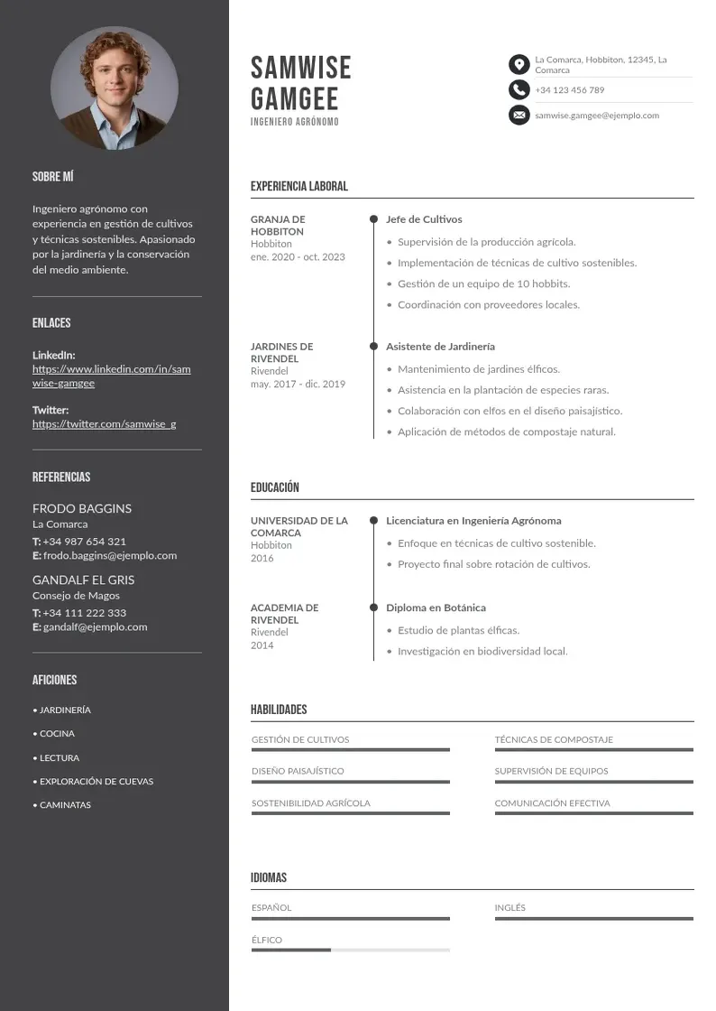 two column curriculum-de-ingeniero-agronomo resume example