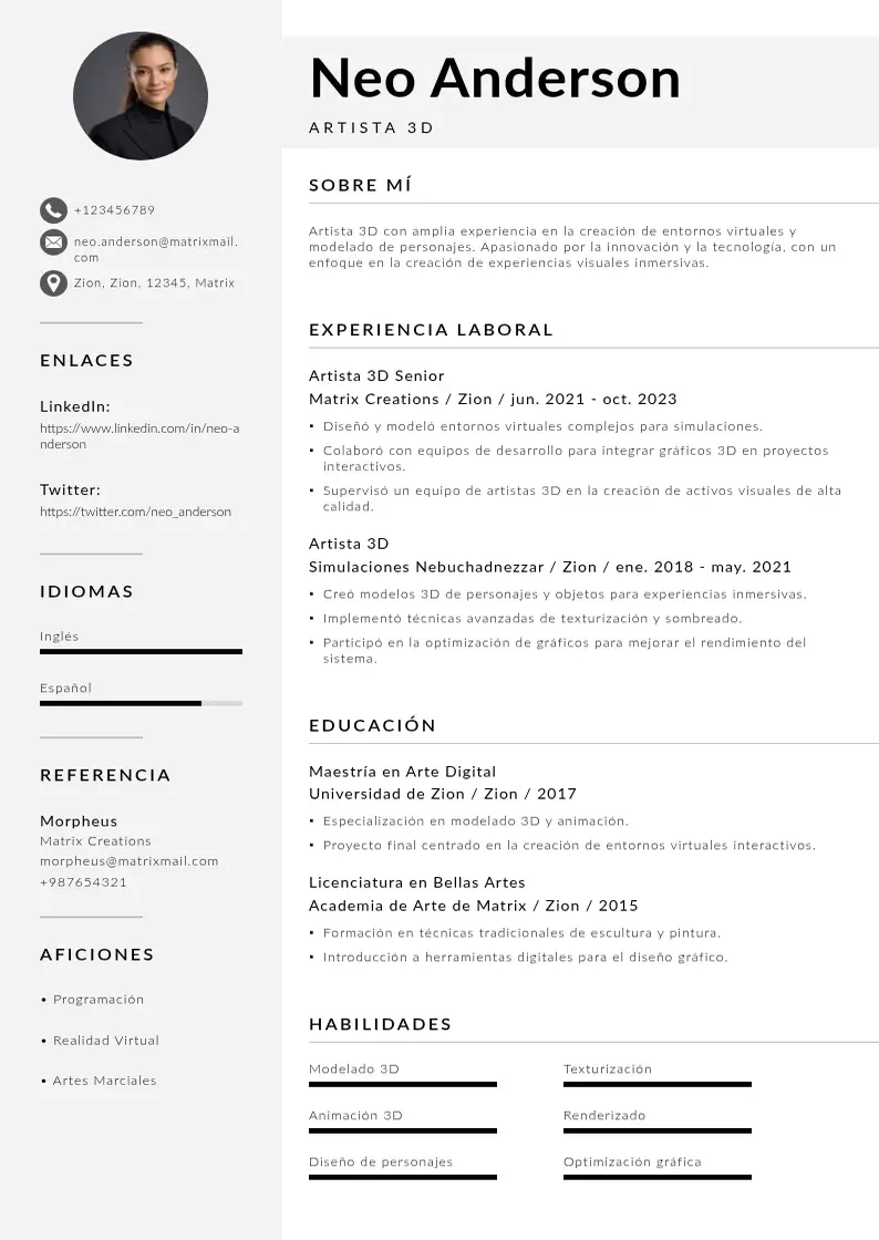 two column artista-3d resume example