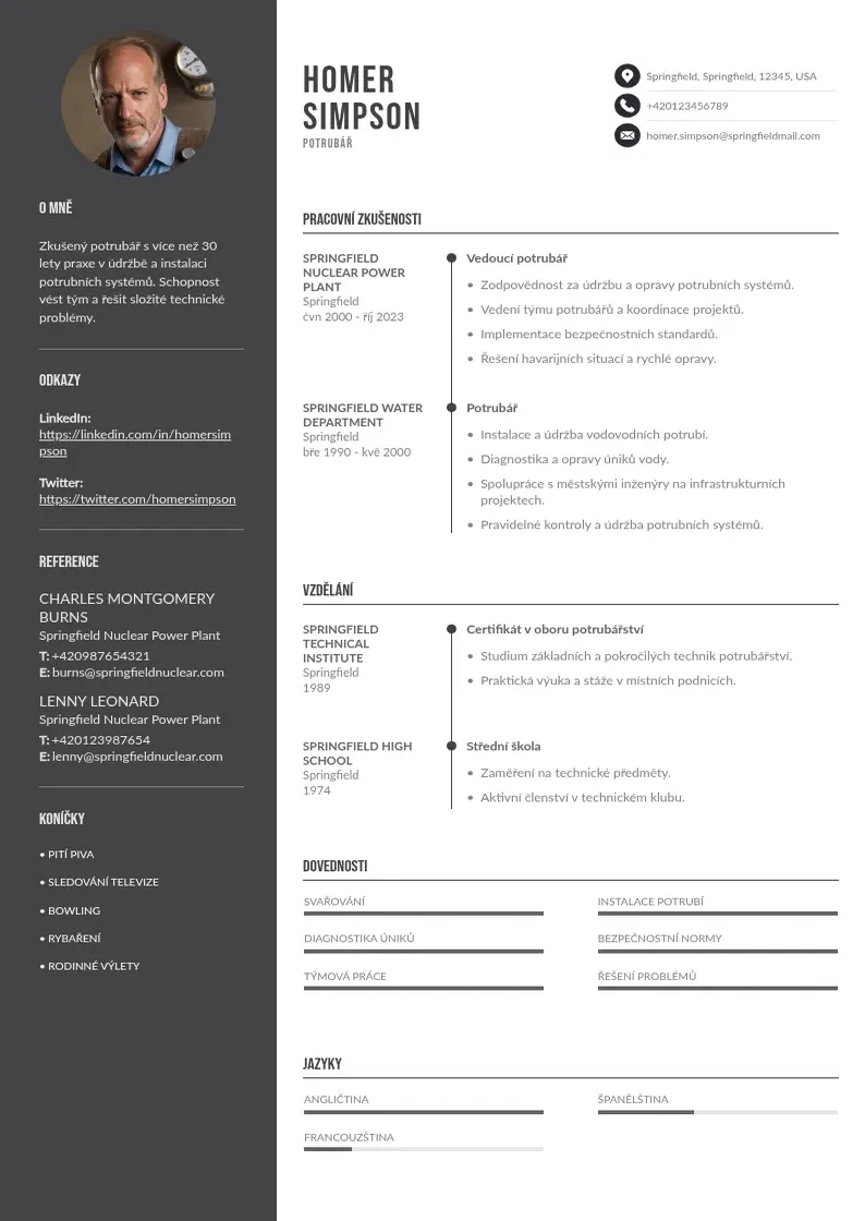 Divu kolonnu Pipefitter  CV piemērs