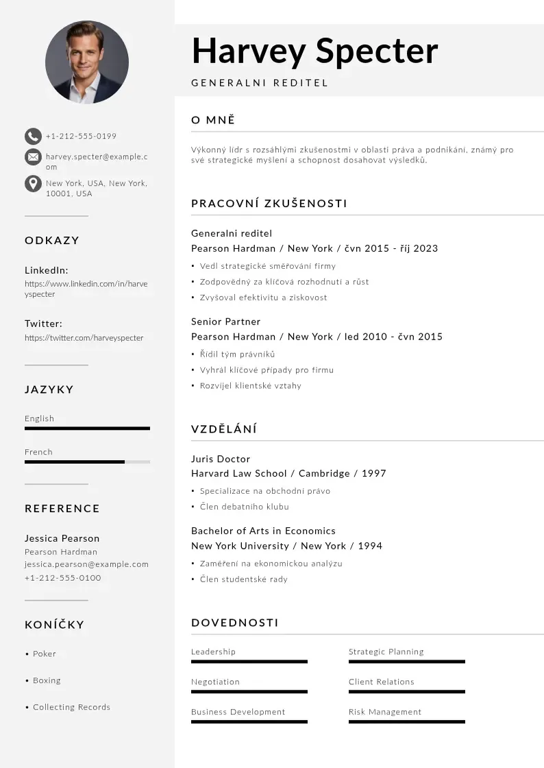 Mūsdienīga Generalni reditel zivotopis CV veidne