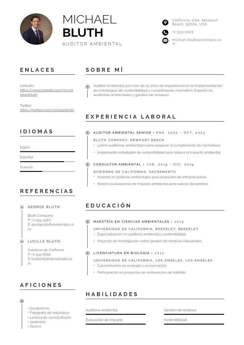 two column auditor-ambiental resume example