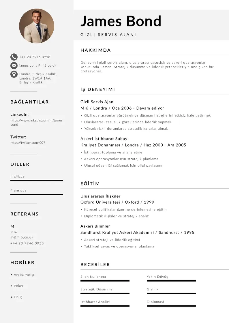 Mūsdienīga Askeri  CV veidne