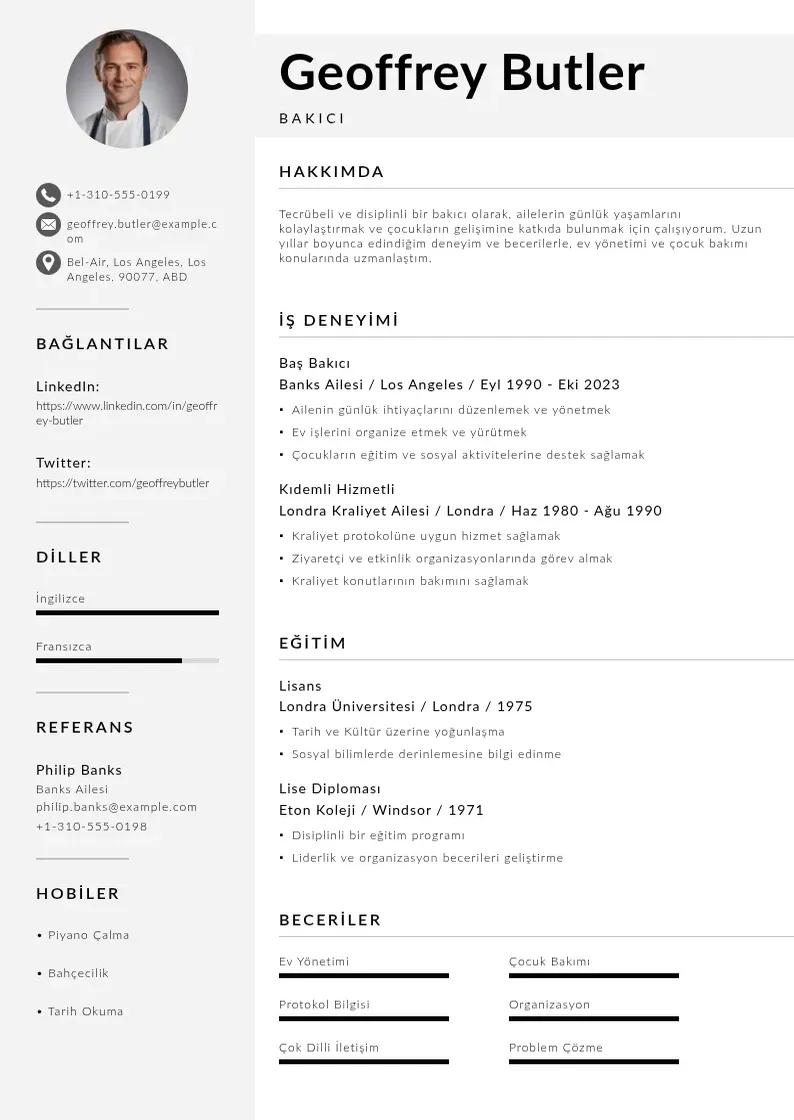 Mūsdienīga Bakici CV veidne