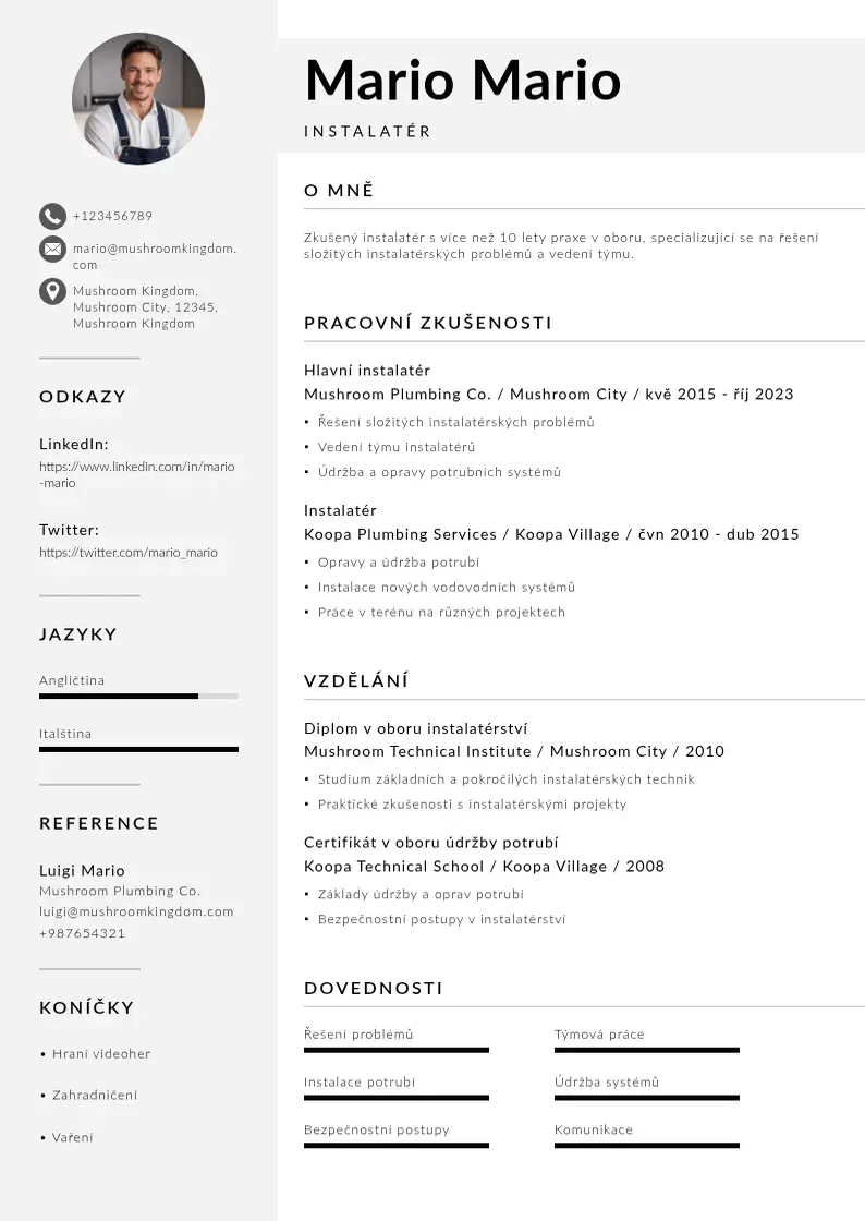 Mūsdienīga Instalater zivotopis CV veidne