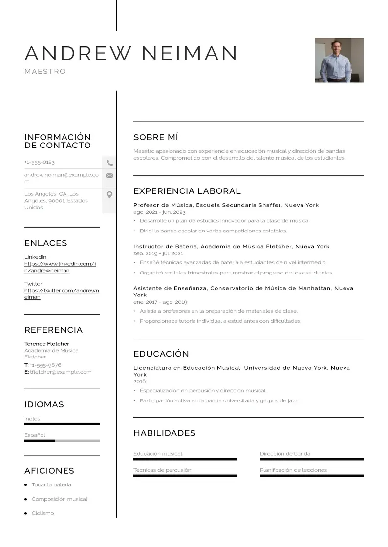two column cv-maestro resume example