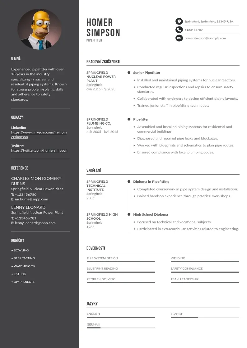 Divu kolonnu Pipefitter  CV piemērs